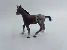 Load image into Gallery viewer, Horses - Appaloosa Foal