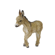 Load image into Gallery viewer, Donkey Foal - Collecta