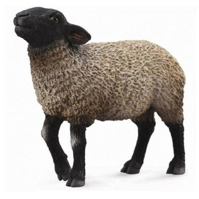 Sheep - Suffolk Sheep - Collecta
