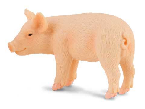 Pigs - Piglet Standing - Collecta