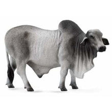 Load image into Gallery viewer, Cattle - Grey Brahman Bull - Collecta