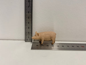 Pigs - Sow - Collecta