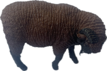 Load image into Gallery viewer, Sheep - Merino Flock - Country Toys