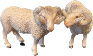 Sheep - Merino Ram - Country Toys