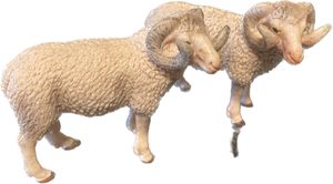 Sheep - Merino Ram - Country Toys