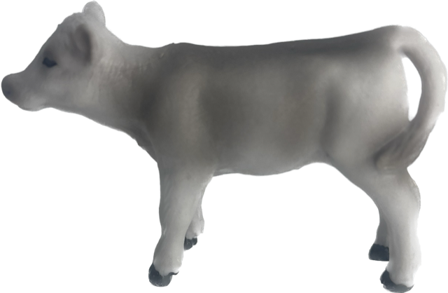Cattle - Murray Grey Calf - Country Toys