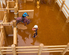 Load image into Gallery viewer, RG1 - Rodeo Grounds