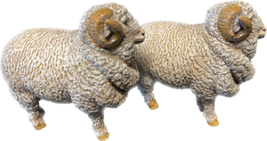 Sheep - Merino Stud Ram - Country Toys