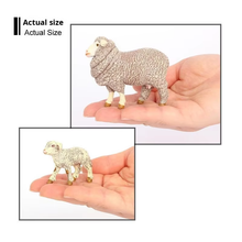 Load image into Gallery viewer, Sheep - Stud Merino Lamb - Country Toys