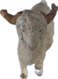 Goats - Angora Billy - Schleich
