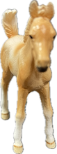 Load image into Gallery viewer, Horses - Pinto Palomino Foal - Collecta