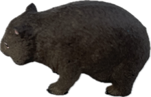 Load image into Gallery viewer, Wildlife - Wombat - Country Toys