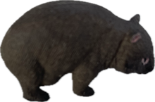 Load image into Gallery viewer, Wildlife - Wombat - Country Toys