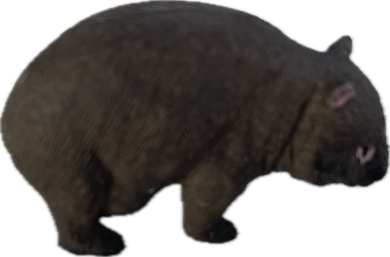 Wildlife - Wombat - Country Toys