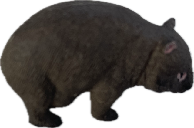 Wildlife - Wombat - Country Toys