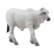 Load image into Gallery viewer, Cattle - Grey Brahman Calf - Collecta