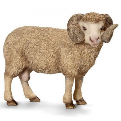 Sheep - Merino Ram - Schleich