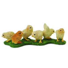 Load image into Gallery viewer, Chickens - Chicks - Collecta