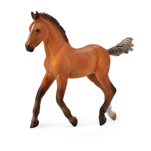 Horses - Hanoverian Foal - Collecta