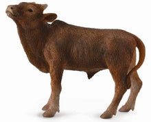 Load image into Gallery viewer, Cattle - Ankole-Watusi Calf