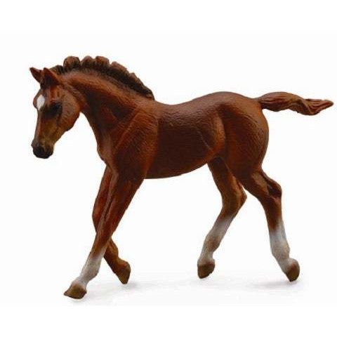 Horses - Thoroughbred Foal (Chestnut walking) - Collecta