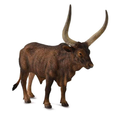 Cattle - Ankole-Watusi Bull