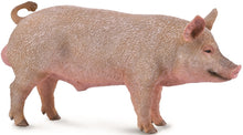 Load image into Gallery viewer, Pigs - Boar Pig - Collecta