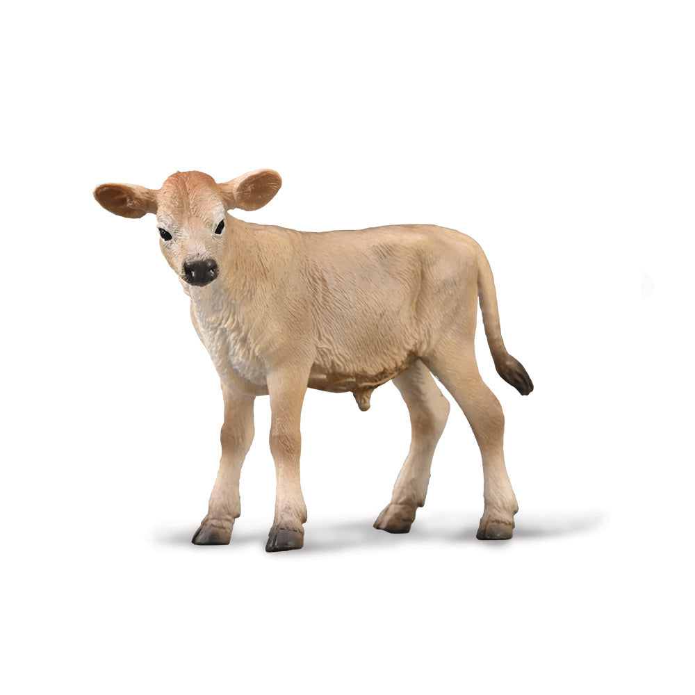 Cattle - Jersey Calf - Collecta