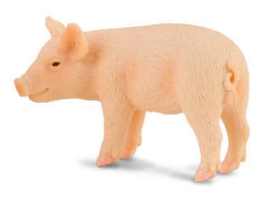 Pigs - Piglet Standing - Collecta