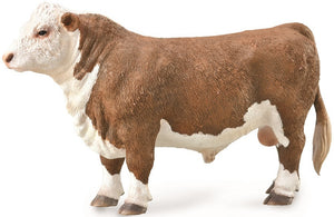 Cattle - Poll Hereford Bull - Collecta