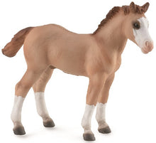 Load image into Gallery viewer, Horses - Quarter Horse Foal - Collecta