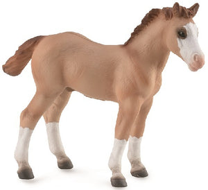 Horses - Quarter Horse Foal - Collecta