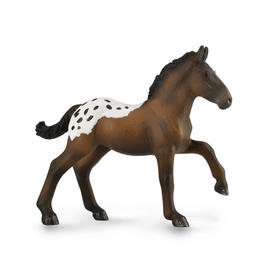 Horses - Appaloosa Foal - Collecta