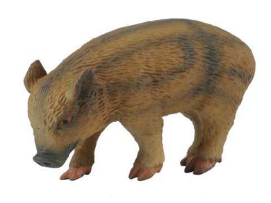 Pigs - Wild Piglet Eating - Collecta