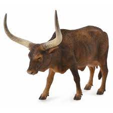 Cattle - Ankole-Watusi Cow