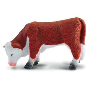 Cattle - Hereford Calf Grazing - Collecta