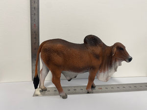 Cattle - Red Brahman Bull - Collecta