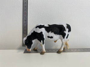 Cattle - Friesian Bull - Collecta