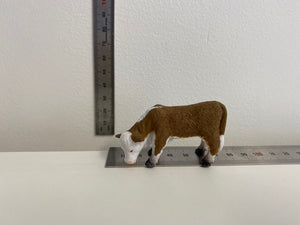 Cattle - Hereford Calf Grazing - Collecta