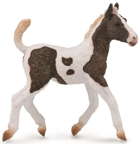 Horses - Pinto Foal - Collecta