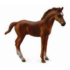 Horses - Thoroughbred Foal (Chestnut standing) - Collecta